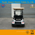 Zhongyi 2 Seats off Road Battery Powered Classic Shuttle Electric Sightseeing Golf Carts with High Quality